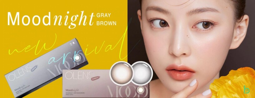 Mood Night Grey & Brown ( 1 Day ) Contact Lenses
