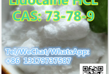 Professional Supply Top Purity Lidocaine CAS 51-05-8 /59-46-1 /137-58-6 /73-78-9 /94-09-7/ 23239-88-5 /721-50-6 /136-47-0 with Realistic Price