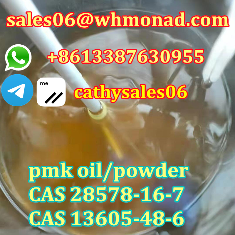 new p powder CAS 28578-16-7 NEW bmk pmk glycidate hot sales and fast delivery to holland