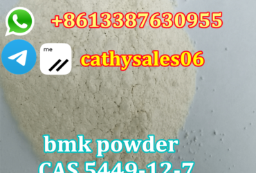 CAS 5449-12-7 bmk glycidate supplier door to door delivery
