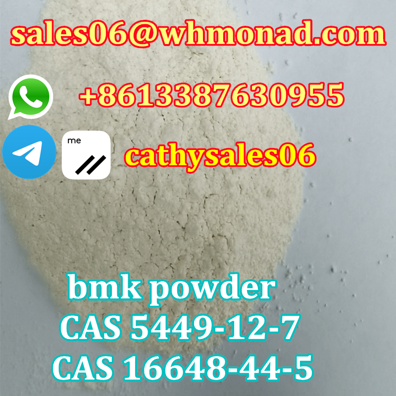 CAS 5449-12-7 bmk glycidate supplier door to door delivery