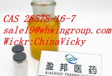 PMK ethyl glycidate  PMK oil