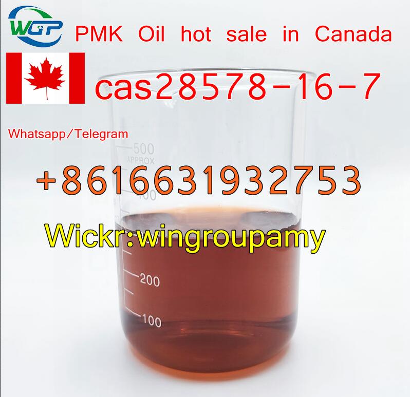 PMK oil/powder  cas28578-16-7  Popular Chemicals in Canada Wickr:wingroupamy