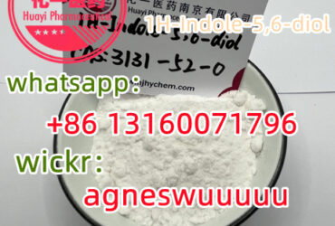 Fast delivery 1H-Indole-5,6-diol   3131-52-0