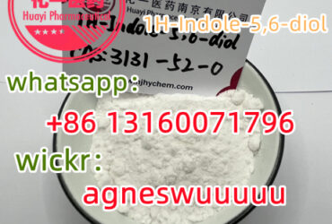 99% purity 1H-Indole-5,6-diol   3131-52-0