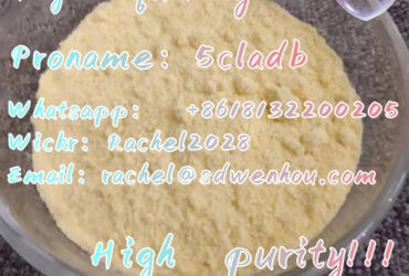 Manufactory supply:product name:5cladb,high quality,high purity