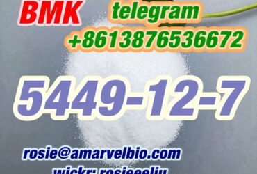 CAS 5449-12-7 BMK Glycidic Acid (sodium salt) WHATSAPP:+8613876536672