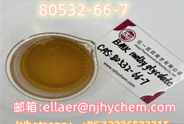 High concentrations Free sample BMK methyl glycidate	80532-66-7