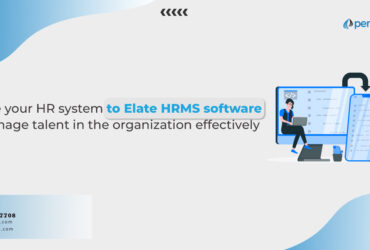 HRMS Software Dubai – HR and Payroll – Penieltech