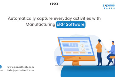 ERP Software Provider for Companies in Dubai – Penieltech