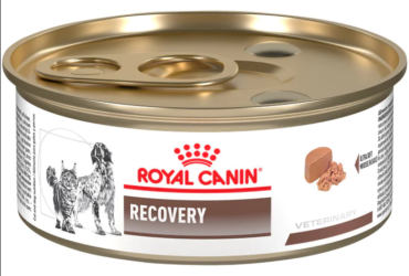 Recovery Cat Food