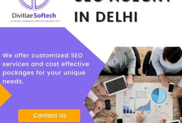 SEO AGENCY IN Delhi | 9773663776 | e-Commerce SEO Company