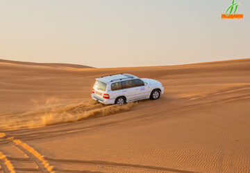 BEST OFFERS ON DESERT SAFARI TOURS FOR DUBAI DESERT SAFARI TOURS 2022
