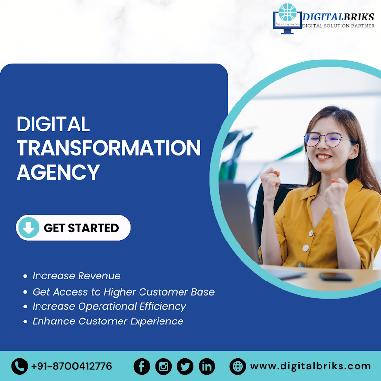 Transform Your Business with DigitalBriks – Your Trusted Digital Solution Partner