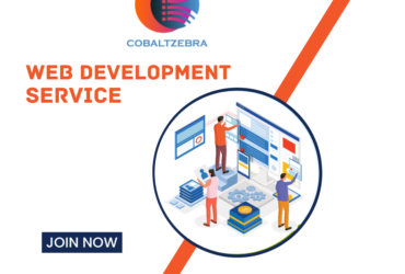 Web Development Service in Pitampura Delhi- Cobalt Zeebra