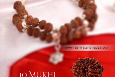 Buy 10 Mukhi Rudraksha Rudraksha From Rashi Ratan Bhagya