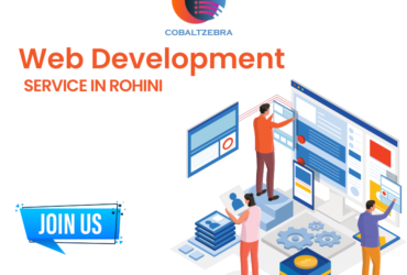 Web Development Service in Rohini Delhi India – Cobalt Zebra