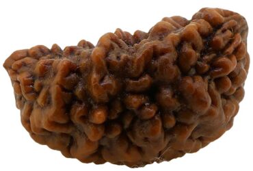 Best discount of up to 10% off Rudraksha Beads  Online in India