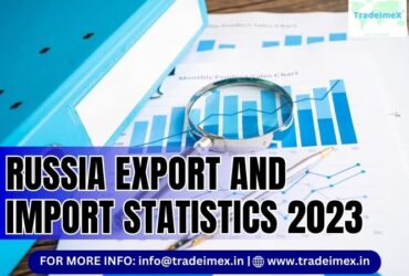 Russia Import Data Revealed: Key Insights and Market Opportunities