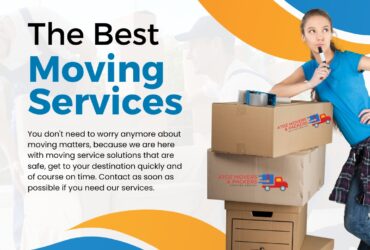 Looking for the best movers and packers in UAE?
